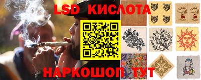 тгк Долгопрудный