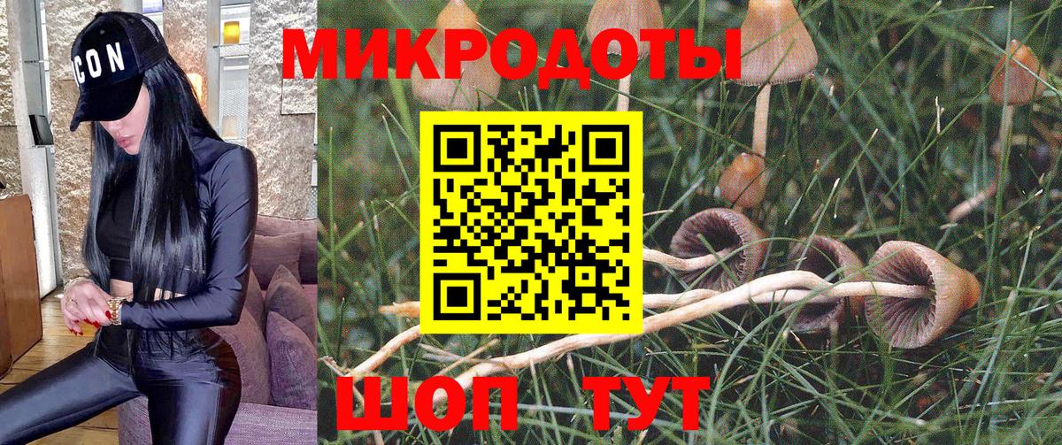 Галлюциногенные грибы Psilocybe  продажа наркотиков  Бийск  Вход с VPN 