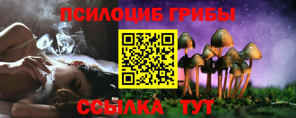 Галлюциногенные грибы Psilocybine cubensis Бийск