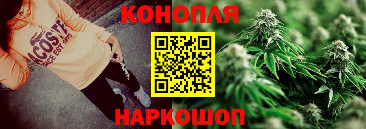 Каннабис MAZAR  Конопля планчик  Бийск  Бошки Шишки Amnesia  Вход с VPN  Каннабис план 